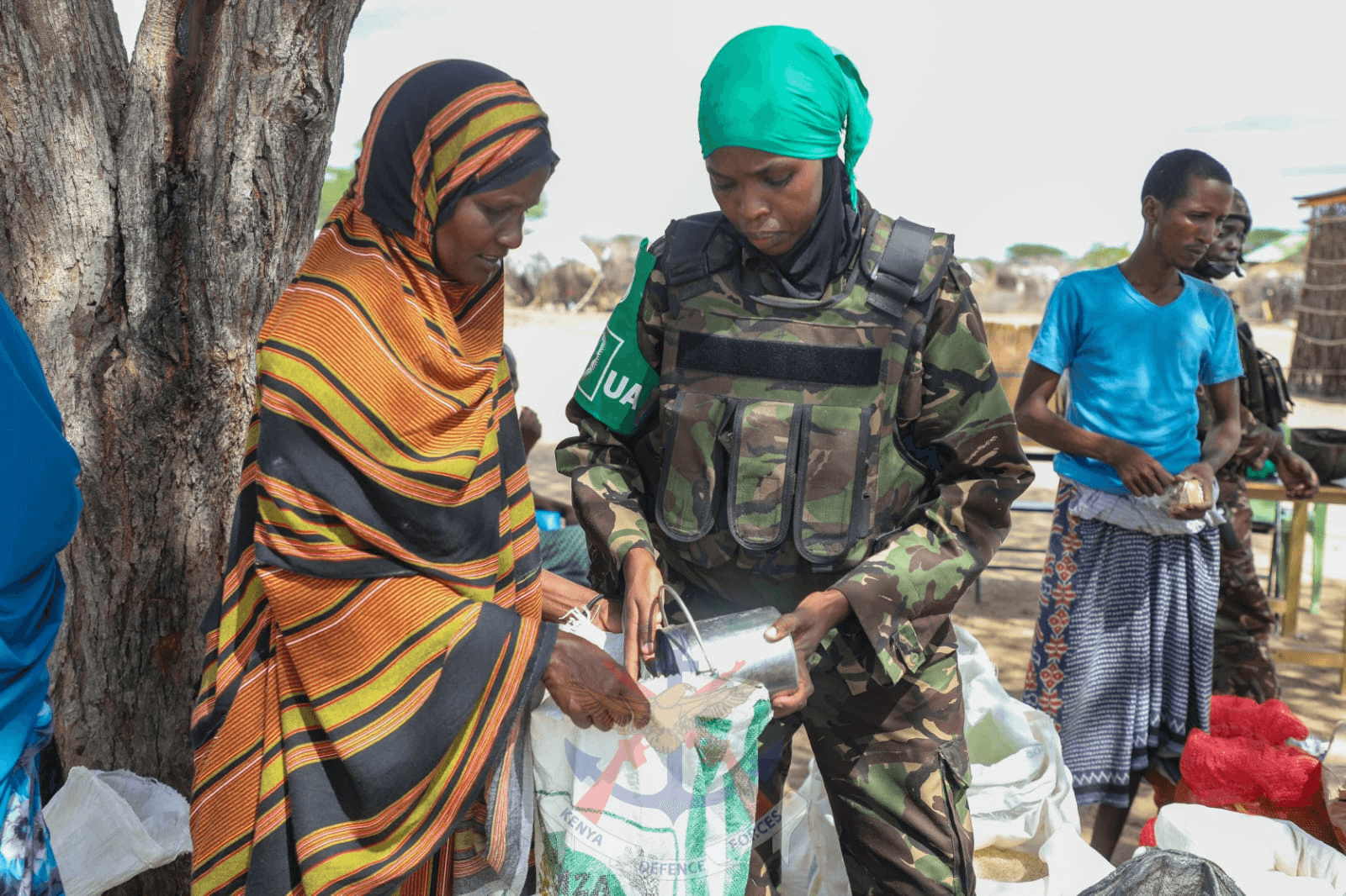 Kenya Defence Forces